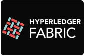 hyperledger-fabric