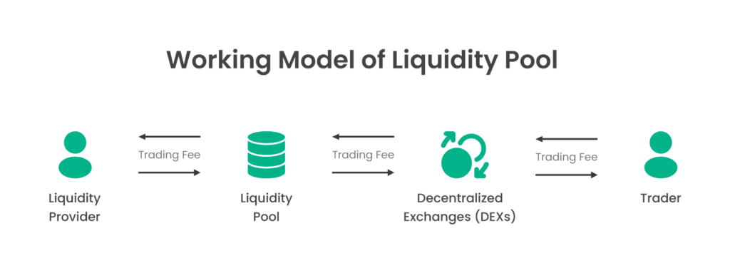 Liquidity Pool Model